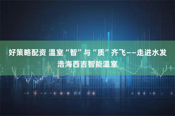 好策略配资 温室“智”与“质”齐飞——走进水发浩海西吉智能温室