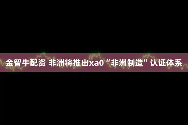 金智牛配资 非洲将推出xa0“非洲制造”认证体系
