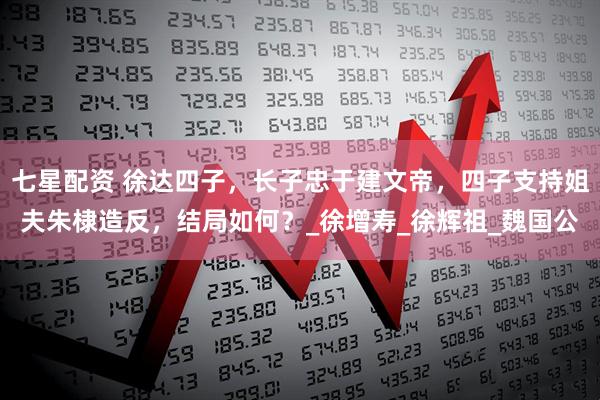 七星配资 徐达四子，长子忠于建文帝，四子支持姐夫朱棣造反，结局如何？_徐增寿_徐辉祖_魏国公