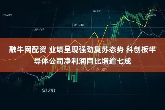融牛网配资 业绩呈现强劲复苏态势 科创板半导体公司净利润同比增逾七成
